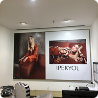 vinil-germe-ankara (5)