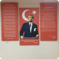 vinil-germe-ankara (9)